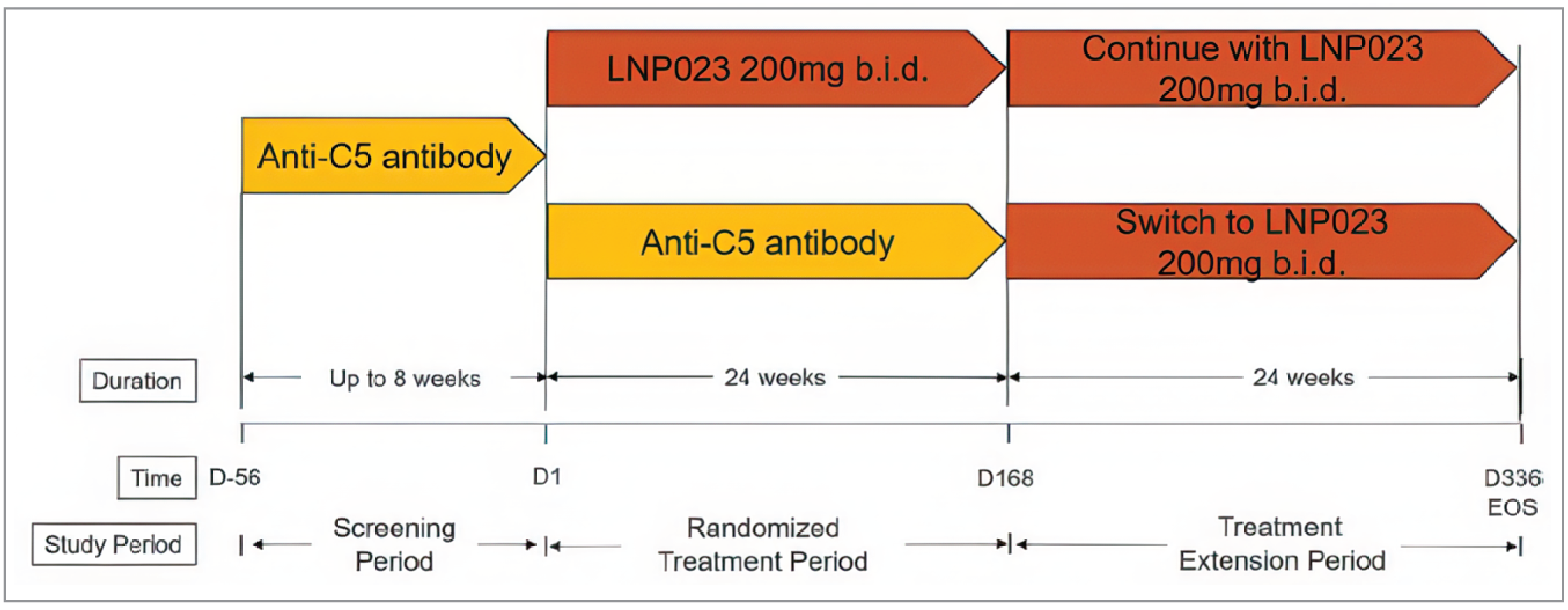 The screening period was up to 56 days (during which all patients received C5 inhibitors). On day 1 of the study, patients were randomized to iptacopan 200 mg twice daily or C5 inhibitors for 24 weeks (randomized treatment period). After the randomized treatment period, patients could continue in the 24-week treatment extension period, during which all patients received iptacopan 200 mg twice daily.