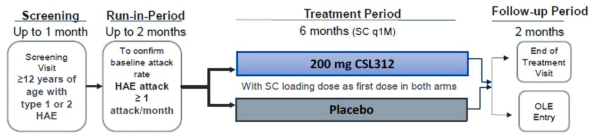 The VANGUARD study consisted of a screening period (up to 1 month), a run-in period (up to 2 months), a treatment period (6 months), and either a 2-month follow-up period (i.e., 3 months after last investigational product administration) or entry into the open-label phase IIIb study.