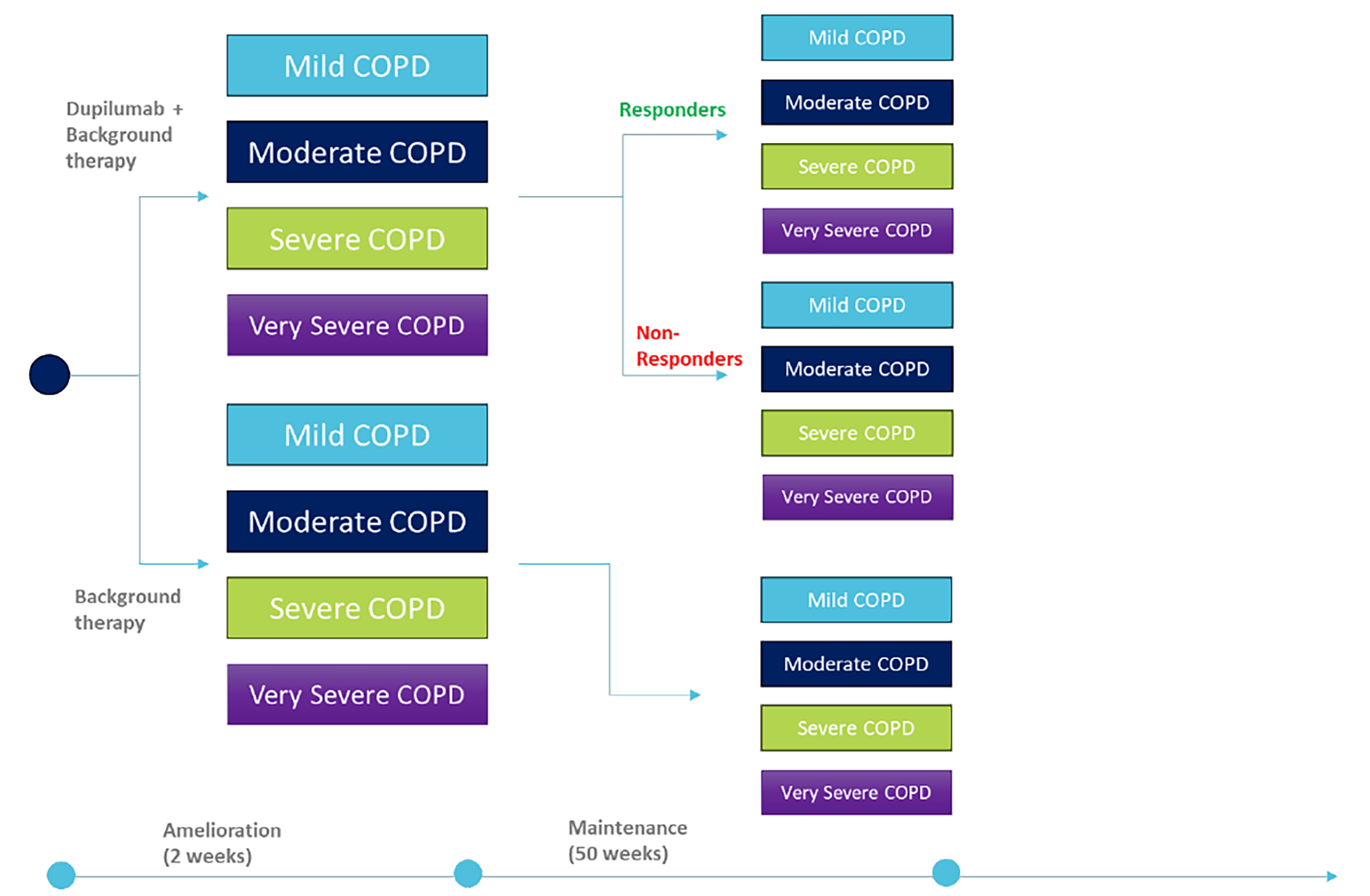 The figure is a decision tree with various nodes that outlines patient movement through the initial part of the sponsor’s model. The decision points are types of therapy and treatment response. For each situation, the proportion of individuals with mild COPD, moderate COPD, severe COPD or very severe COPD is considered. This covers the first 52 weeks of treatment.