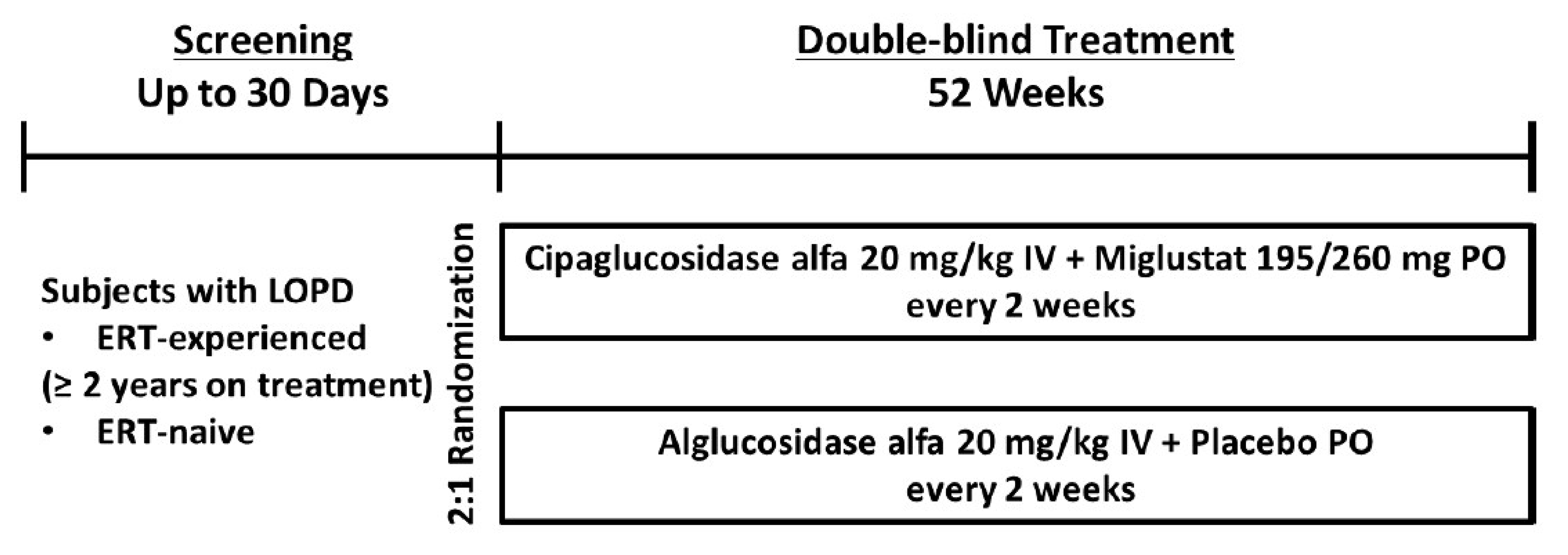 Patients with LOPD who were either ERT experienced (2 years or more receiving ERT treatment) or ERT naive participated in a screening period of up to 30 days. Eligible patients were randomized 2:1 to receive either cipaglucosidase alfa 20 mg/kg IV infusion plus miglustat (195 mg or 260 mg) orally or alglucosidase alfa 20 mg/kg IV infusion plus placebo orally every 2 weeks during the double-blind treatment period of 52 weeks.