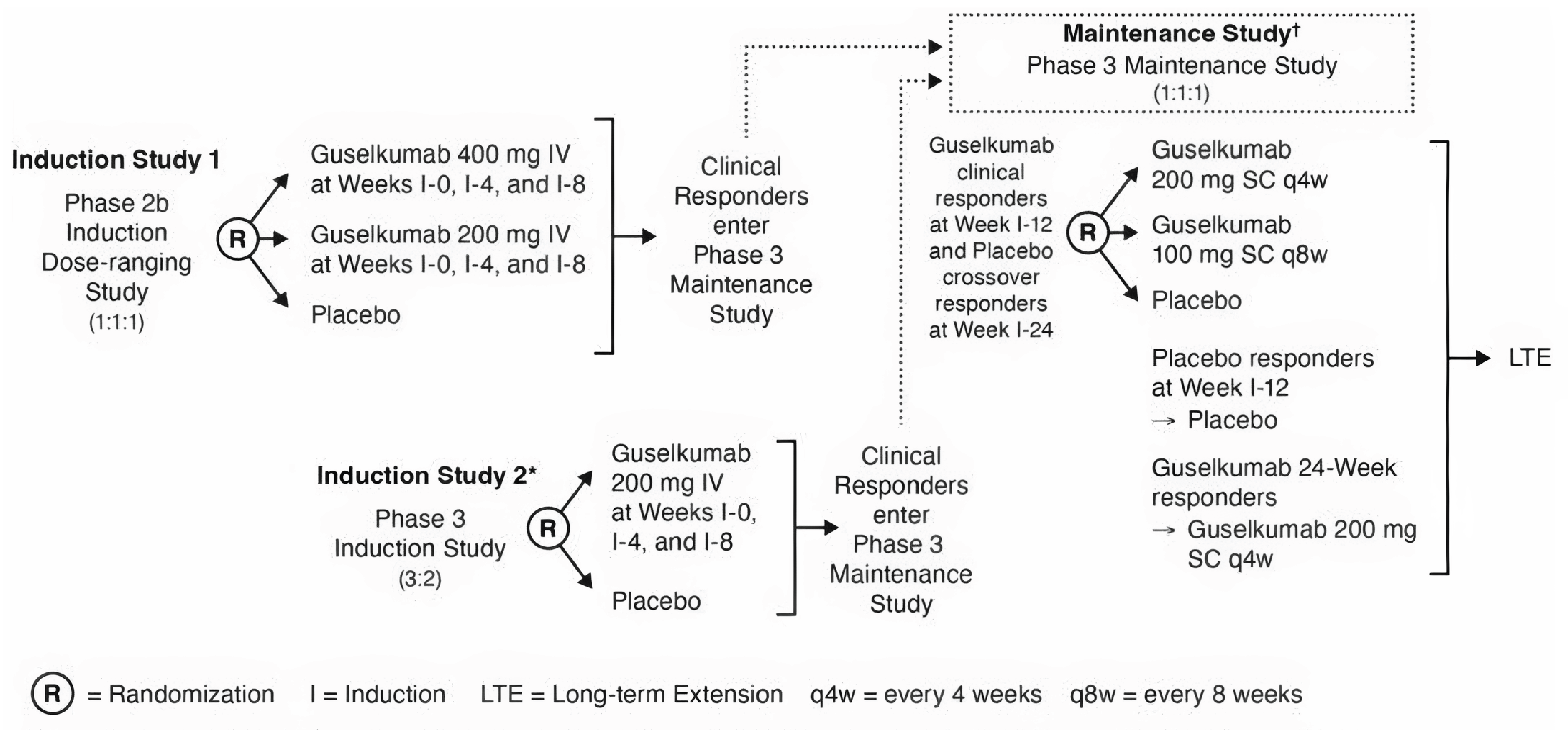 The QUASAR clinical development program for guselkumab in the treatment of ulcerative colitis consists of 3 separate studies conducted under a single protocol: induction study 1 (a phase IIb induction dose-ranging study that was not included in this review), induction study 2 (a phase III induction study), and a phase III maintenance study.
