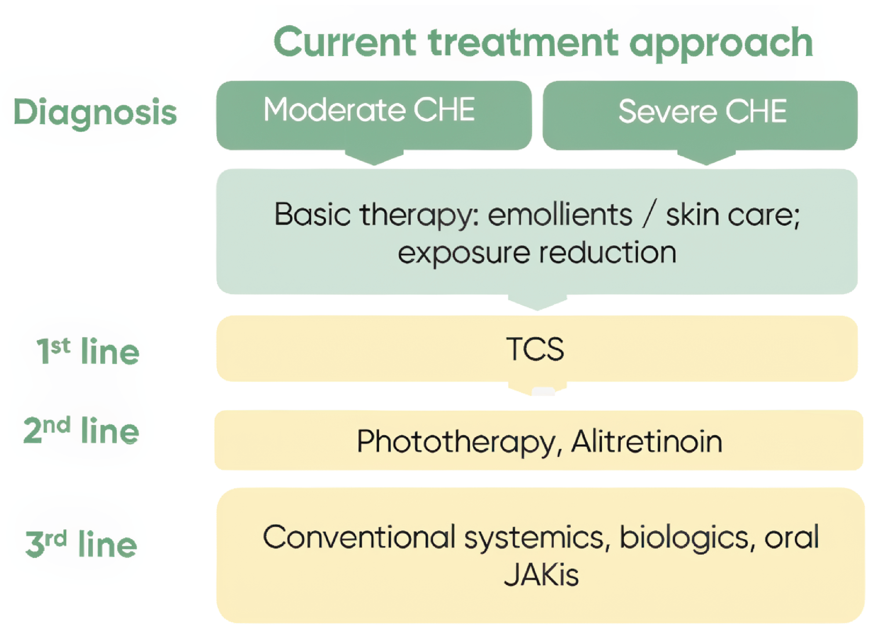 Figure depicting the stages of treatment for patients with CHE, from diagnosis at the top of the flow chart to first, second, and third lines of therapy as described in the text.