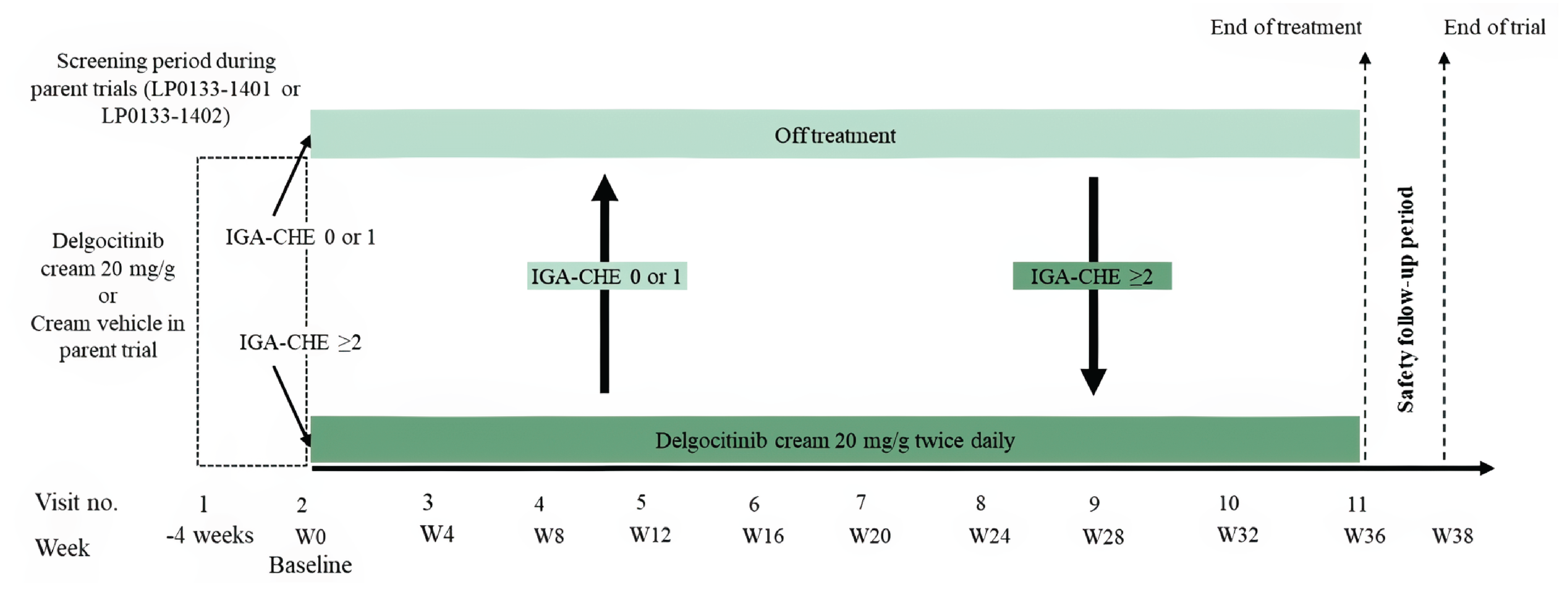 The figure represents the study design for the DELTA 3 trial. The trial included a screening period of up to 4 weeks (week –4 to week 0) conducted during the parent trials, followed by a treatment period of 36 weeks. The baseline visit (day 1, week 0) of this extension DELTA 3 trial coincided with the end-of-treatment visit (week 16) of the parent trials. The value of IGA-CHE determined whether treatment was continued or stopped. Patients who experienced an IGA-CHE score of&nbsp;2 or more in the parent trials continued the treatment and received delgocitinib cream 20 mg/g as needed. Patients who had an IGA-CHE score of 0 or 1 went off treatment. At the end of treatment, patients attended a safety follow-up visit after 2 weeks (week 36 to week 38).
