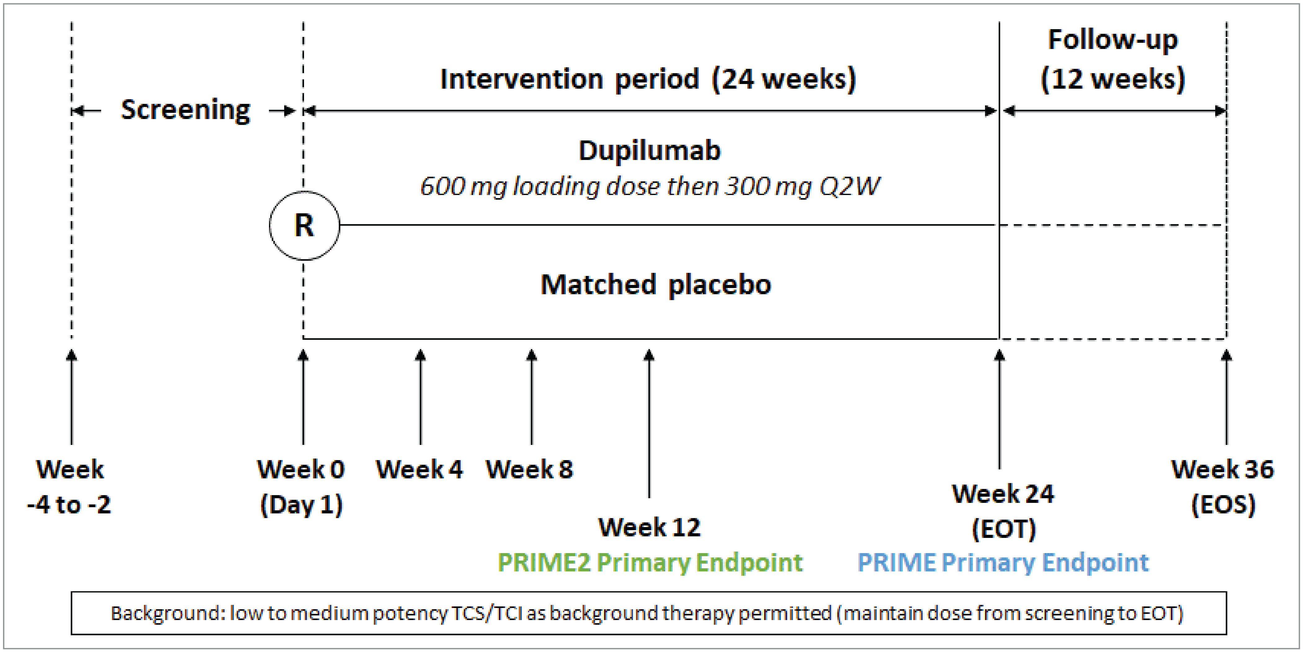 Patients enrolled in the PRIME and PRIME2 studies underwent a 2- to 4-week screening period, after which eligible patients were randomized to receive either dupilumab (600 mg loading dose, plus 300 mg every 2 weeks) or matched placebo for 24 weeks. The primary end point was assessed at 12 weeks in the PRIME2 study and at 24 weeks in the PRIME study. After the 24-week treatment period, patients were followed for another 12 weeks.