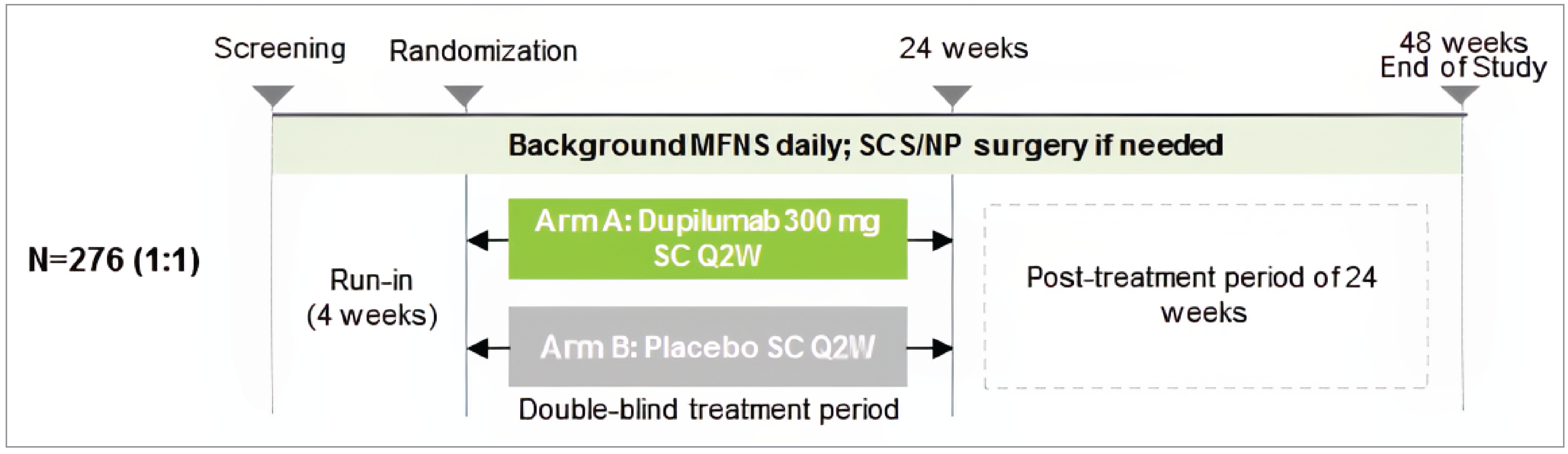 Diagram shows design of the SINUS-24 trial. In total, 276 patients participated. After a run-in period of 4 weeks, they were randomized 1:1 to arm A (dupilumab 300 mg subcutaneously every 2 weeks) or arm B (placebo subcutaneously every 2 weeks). Drug administration was double-blind and the period was 24 weeks. There was a post-treatment period of 24 weeks.