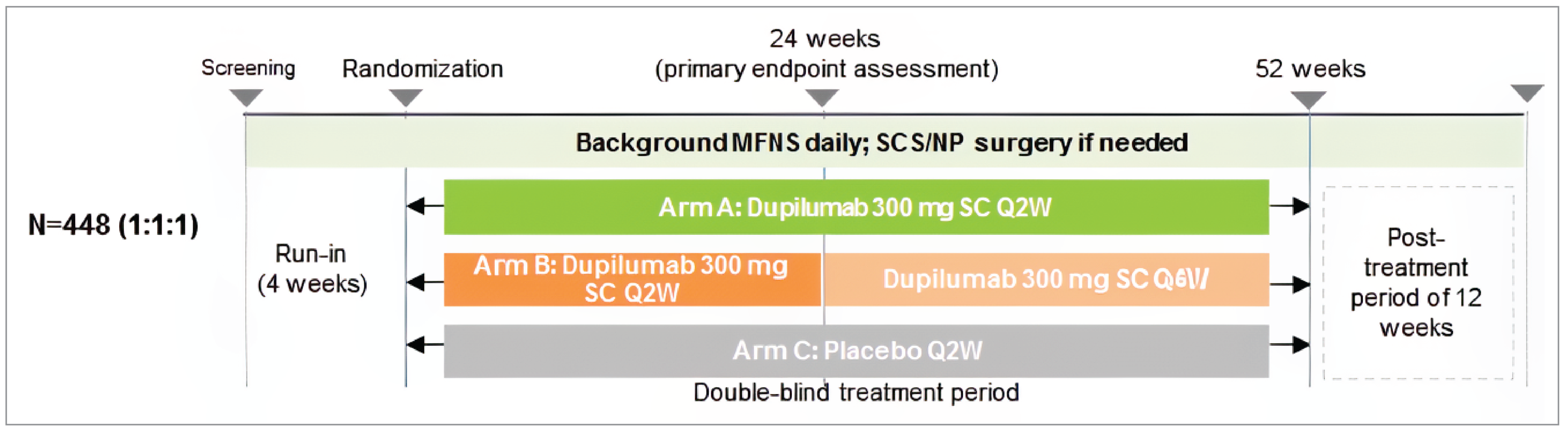 Diagram shows design of the SINUS-52 trial. In total, 448 patients participated. After a run-in period of 4 weeks, they were randomized 1:1 to arm A (dupilumab 300 mg subcutaneously every 2 weeks) or arm B (dupilumab 300 mg subcutaneously every 2 weeks) or arm C (placebo subcutaneously every 2 weeks). At 24 weeks, the primary end point assessment, arm B changed the administration period to every 4 weeks. Drug administration was double-blind and the total period was 52 weeks. There was a post-treatment period of 12 weeks.