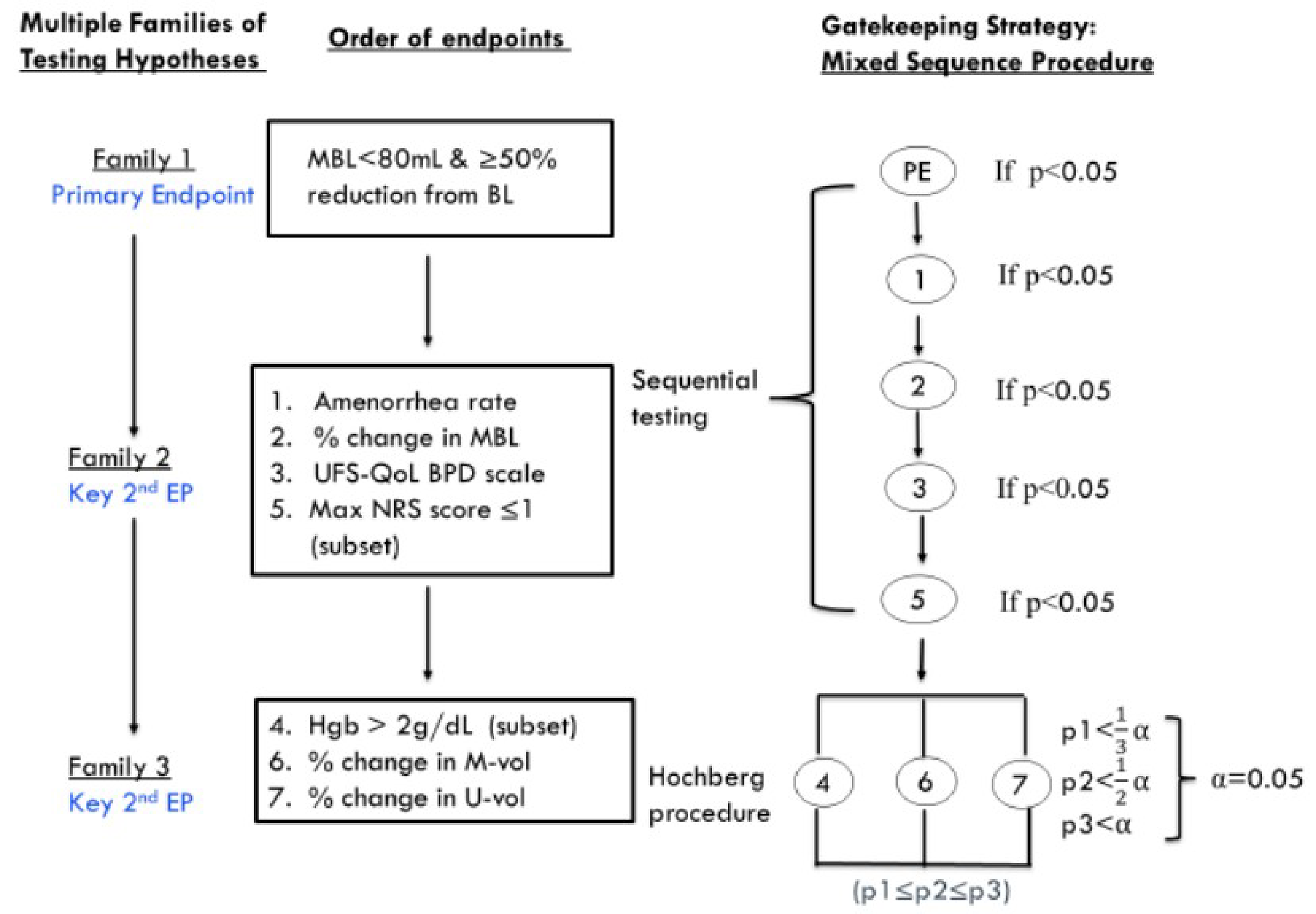 The primary and 7 key secondary end points of the LIBERTY 2 trial were tested in order by family. Family 1 included the primary end point: the proportion of patients in the RGX-E2-NETA group versus the placebo group who experienced an MBL volume of less than 80 mL and a 50% or greater reduction from baseline MBL volume over the preceding 35 days of treatment, as measured using the alkaline hematin method. Family 2 included 4 key secondary end points: the proportion of patients who experienced amenorrhea over the last 35 days of treatment, percentage change from baseline to week 24 in MBL volume, change from baseline to week 24 in bleeding and pelvic discomfort scale score as measured using the UFS-QoL SSS, and proportion of patients who experienced a maximum NRS score of 1 or lower for UF-associated pain in the subset of patients with a maximum pain score of 4 or higher who had completed the daily e-diary during the 35 days before randomization. Family 3 included 3 key secondary end points: the proportion of patients with a hemoglobin level of 10.5 g/dL or lower at baseline who experienced an increase of more than 2 g/dL from baseline to week 24, percentage change in UF volume, and percentage change in uterine volume. Each of the end points in family 1 and 2 were tested sequentially. The end points in family 3 were tested using the Hochberg procedure, all at a 2-sided 0.05 significance level.