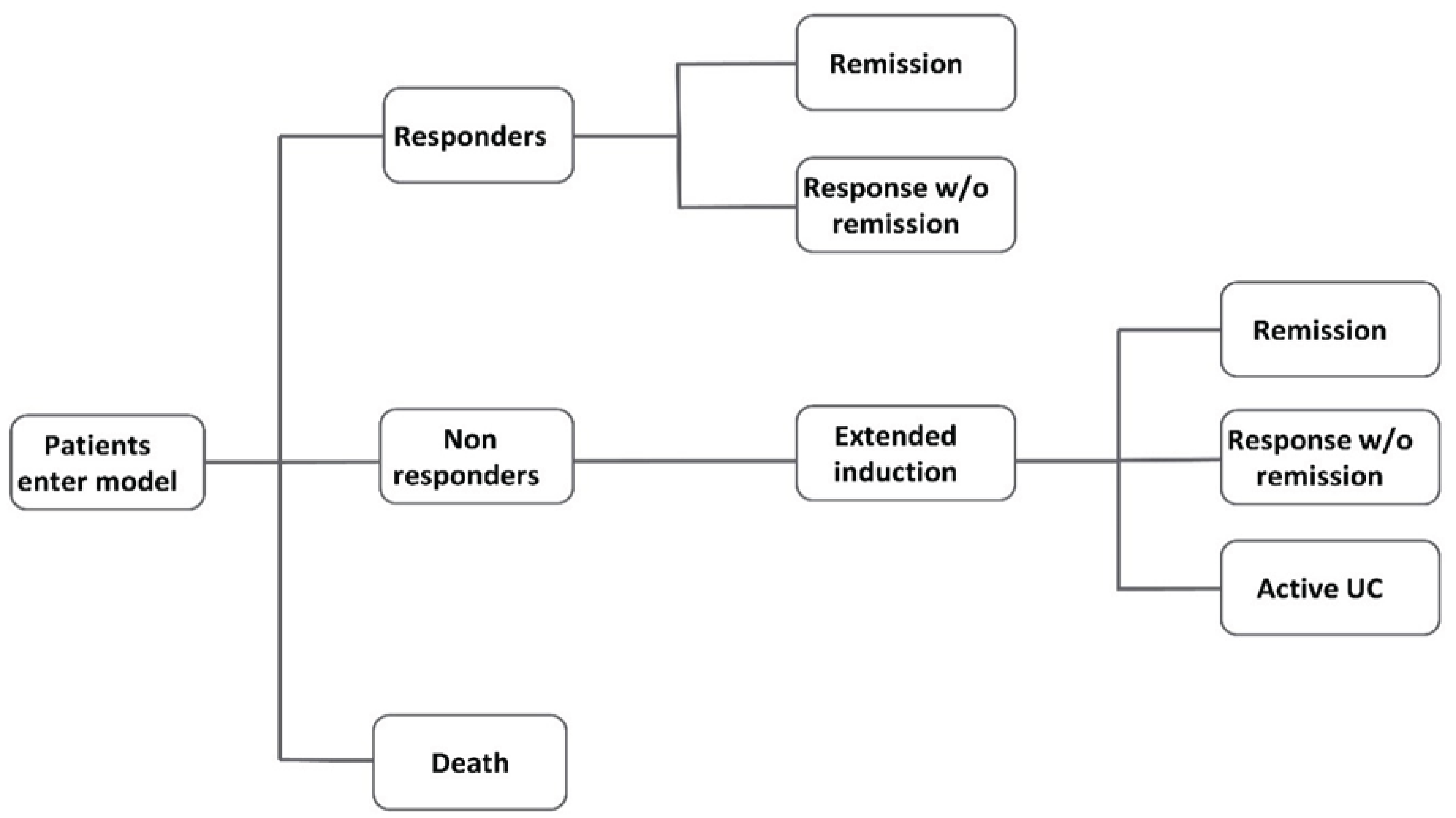 A decision tree structure in which patients entering the model can move to the responders, nonresponders, or death health states. Those in the responder health state then either enter the remission or response without remission health states. Nonresponders are denoted as moving to an extended induction health state, after which they may enter remission, response without remission or active UC health states.