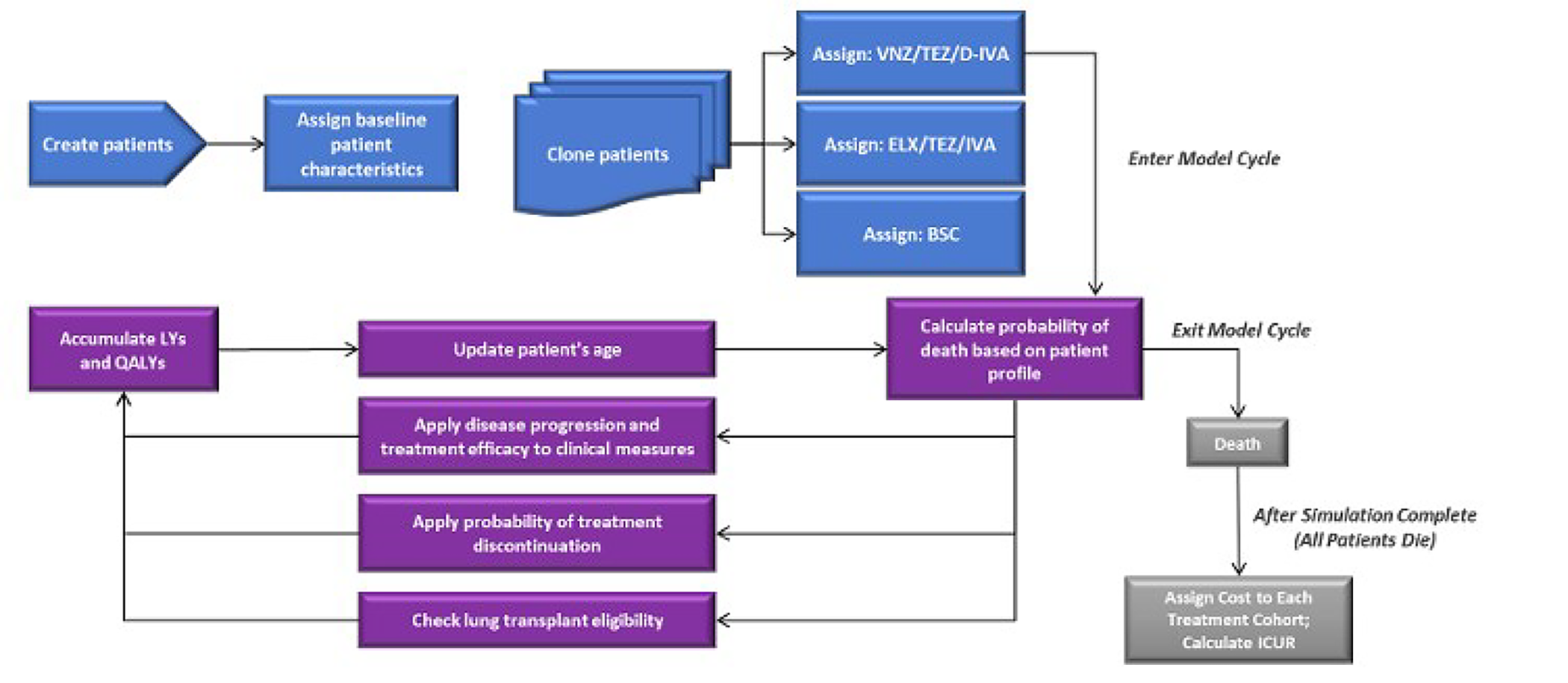 The figure illustrates a patient-level microsimulation model. Arrows in the model indicate the steps taken to assign baseline patient characteristics, clone patients, and assign treatment to simulated patients. After entering each model cycle, patient characteristics (age, percent predicted forced expiratory volume in 1 second, weight-for-age z&nbsp;score, pulmonary exacerbation rate, eligibility for and occurrence of lung transplant, development of CF-related diabetes, and treatment discontinuation) were updated. In each cycle, patients are at risk of death based on patient profile and accrue life-years and quality-adjusted life-years with costs applied at the end of each run of 250 patients. All pathways ultimately lead to death.