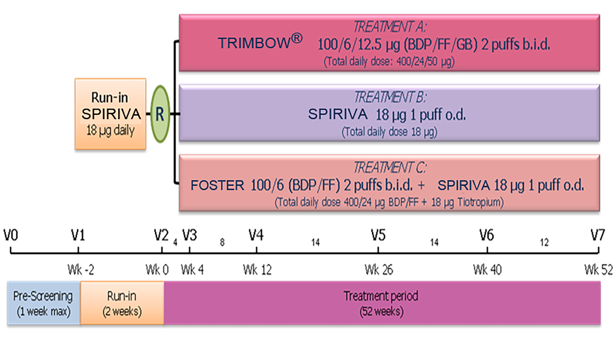 An image depicting the study design for TRINITY, which included a pre-screening visit (≤1 week), a 2‑week run-in, and a 52‑week treatment period. Patients were randomised 2:2:1 to TRIMBOW, SPIRIVA, or FOSTER + SPIRIVA.