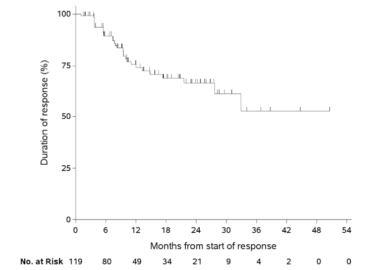 Kaplan-Meier plot for duration of response. Probability of duration of response (%) increases along the y-axis and months from start of response increases along the x-axis, up to 54 months. The number of patients at risk is also shown for the duration.