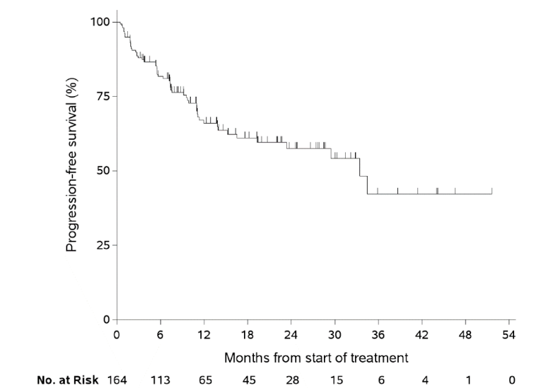 Kaplan-Meier plot for progression-free survival. Probability of progression-free survival (%) increases along the y-axis and months from start of treatment increases along the x-axis, up to 54 months. The number of patients at risk is also shown for the duration.