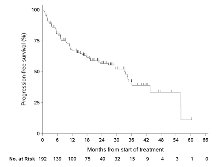 Depicts a Kaplan-Meier plot for progression-free survival. Probability of progression-free survival (%) increases along the y-axis and months from start of treatment increases along the x-axis, up to 60 months. The number of patients at risk is also show for the duration.