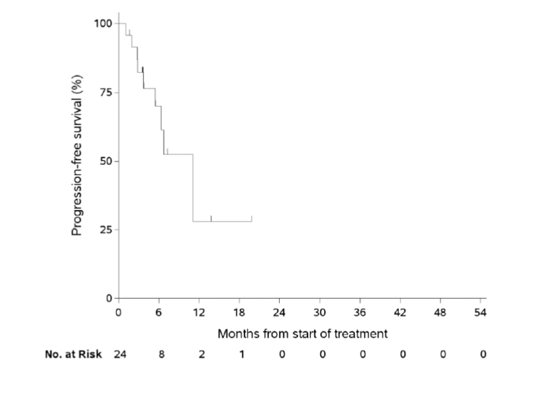 Kaplan-Meier plot for progression-free survival. Probability of progression-free survival (%) increases along the y-axis and months from start of treatment increases along the x-axis, up to 18 months. The number of patients at risk is also shown for the duration.