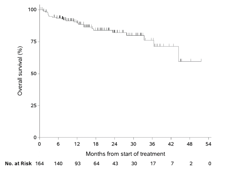 Kaplan-Meier plot for overall survival. Probability of progression-free survival (%) increases along the y-axis and months from start of treatment increases along the x-axis, up to 54 months. The number of patients at risk is also shown for the duration.