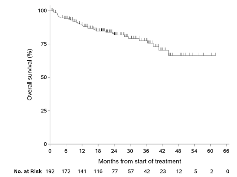 Kaplan-Meier plot of overall survival. Probability of progression-free survival (%) increases along the y-axis and months from start of treatment increases along the x-axis, up to 60 months. The number of patients at risk is also shown for the duration.