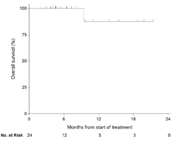 Kaplan-Meier plot for overall survival. Probability of progression-free survival (%) increases along the y-axis and months from start of treatment increases along the x-axis, up to approximately 23 months. The number of patients at risk is also shown for the duration.