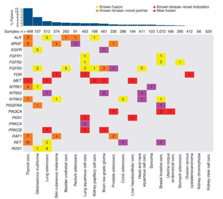Figure presenting the gene fusion status across 20 solid tumour types. The gene fusions surveyed include: ALK, BRAF, EGFR, FGFR1, FGFR2, FGFR3, FGR, MET, NTRK1, NTRK2, NTRK3, PDGFRA, PIK3CA, PKN1, PRKCA, PRKCB, RAF1, RET, and ROS1. Tumour types are indicated at the bottom and ordered by frequency of samples harbouring recurrent fusions (%; bar chart at the top). For each gene, the number of fusions found in TCGA samples is displayed in the matrix and differentiated by the type of novelty: kinase fusions that have been described previously in this particular indication; kinase fusions for which 1 or more partner genes are novel, but the indication is not; a novel indication for a particular kinase fusion regardless of the identity of the partner gene; and novel, recurrent kinase fusions.
