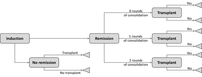 A diagram of the decision tree starting at “Induction.” The tree is separated into “Remission” and “No Remission,” with the possibility of transplant branching from each option.