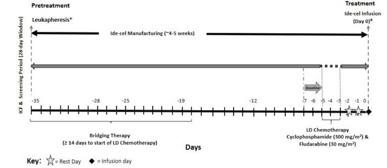 Depicts a flow of the study from pretreatment 35 days before initiation or manufacturing of the product to day zero when the ide-cel infusion takes place.