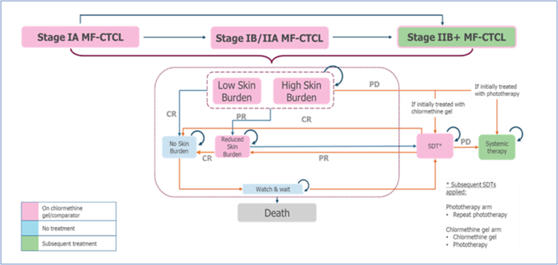 The sponsor-submitted Markov model with health states related to disease stage (stage IA, stage IB/IIA, stage IIB+) and skin burden (low skin burden, high skin burden, reduced skin burden, no skin burden), as well as states related to the treatment of progressed disease (skin-directed therapy, systemic therapy) and death. Refer to the text in the Model Structure section of the report for further description of the model.