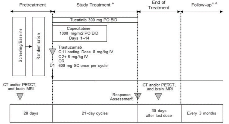 Schematic of the design for the HER2CLIMB trial showing a 28 day screening/randomization period, study treatment period (where patients were treated with the tucatinib- or placebo-combination for cycles of 21 days until progression), end of treatment period (lasting 30 days after patient’s last treatment dose), and a follow-up period occurring every three months.