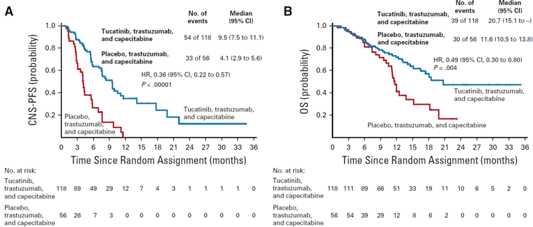 Kaplan-Meier curves of central nervous system progression-free survival and overall survival in patients with brain active metastases.