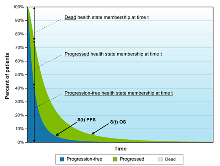 Visual representation of the partitioned survival model (provided by the sponsor for illustrative purposes only).