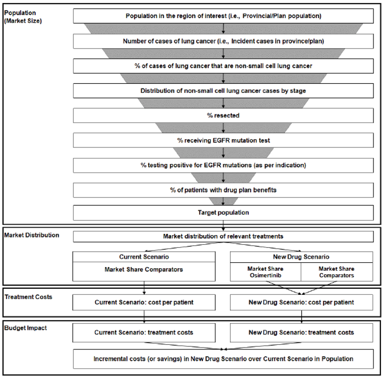 Flowchart outlining how the sponsor derived the population size for patients eligible for osimertinib. Market size goes from the provincial or plan population and is continually refined until the target population is reached. Current scenario and new drug scenario are also shown for market distribution, treatment costs, and budget impact are also