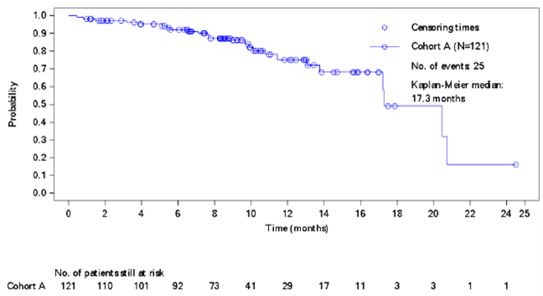 Kaplan-Meier plot of overall survival for cohort A of the BYLieve study, modified full analysis set. N&nbsp;= 121, number of events&nbsp;= 25, Kaplan-Meier estimate of median&nbsp;= 17.3 months.