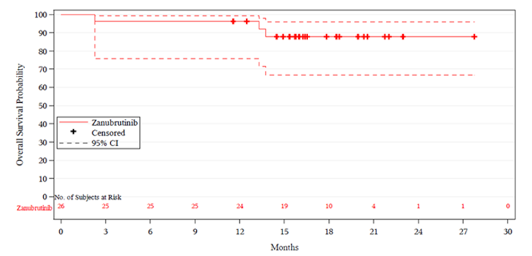 Kaplan–Meier curve for overall survival in Cohort 2 (MYD88WT), with overall survival probability at over 90% until 12 months, dropping and plateauing at 87% up to 24 months.