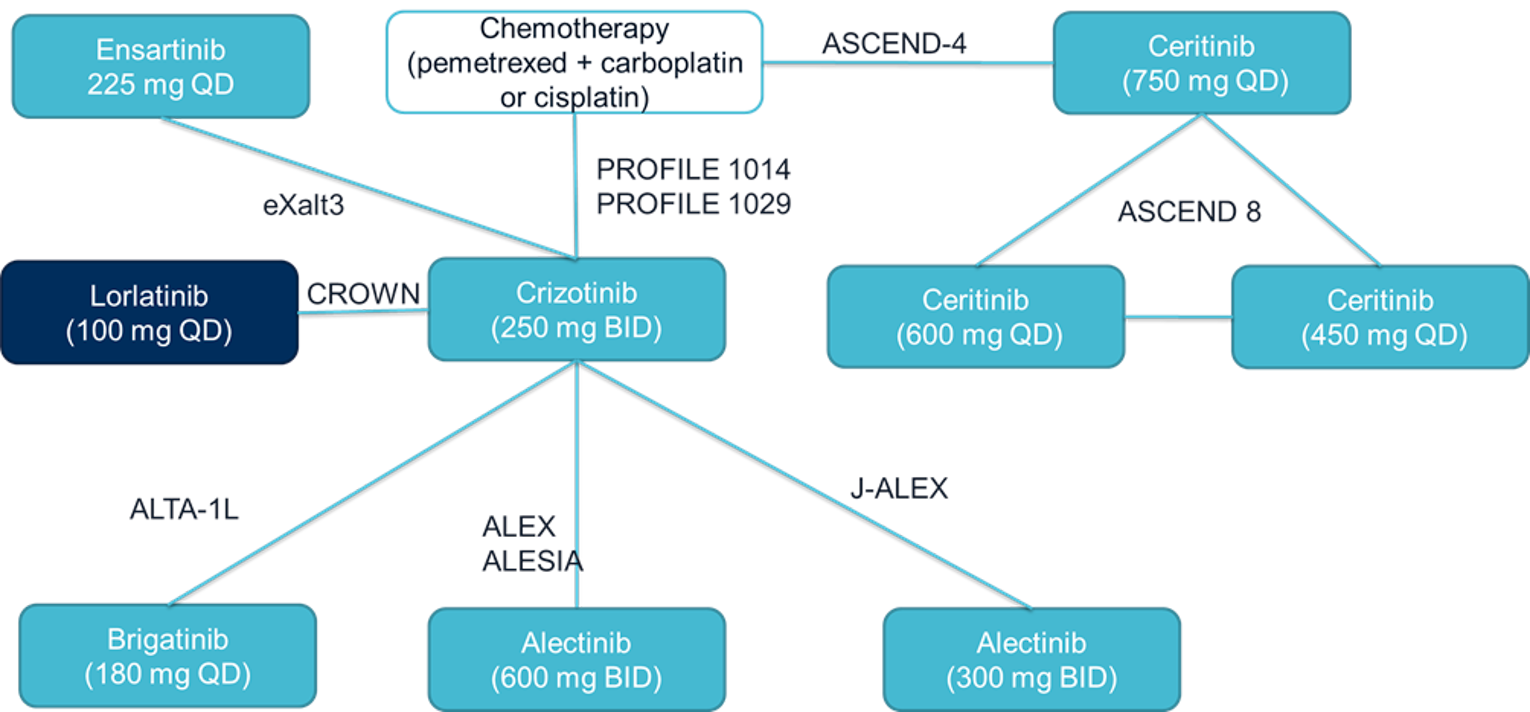 Network diagram of trials included in the sponsor’s indirect treatment comparison for progression-free survival.