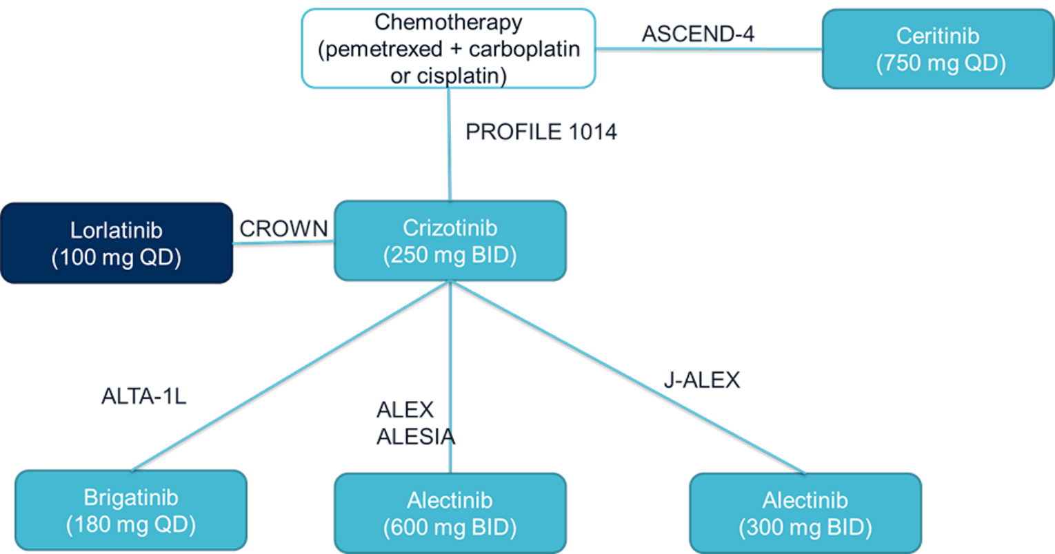 Network diagram of trials included in the sponsor’s indirect treatment comparison for grade 3 and 4 adverse events.