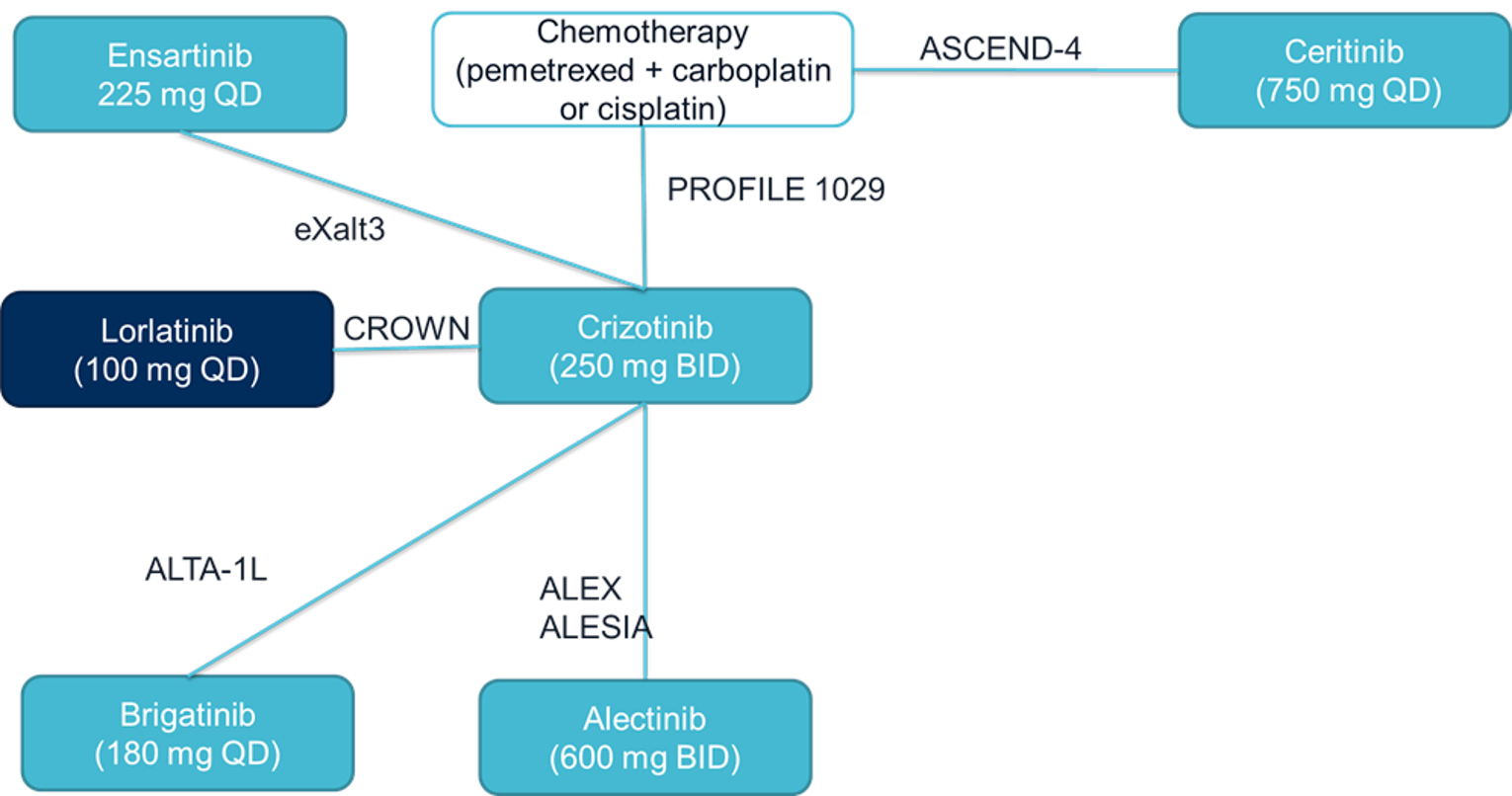 Network diagram of trials included in the sponsor’s indirect treatment comparison for intracranial objective response rate.