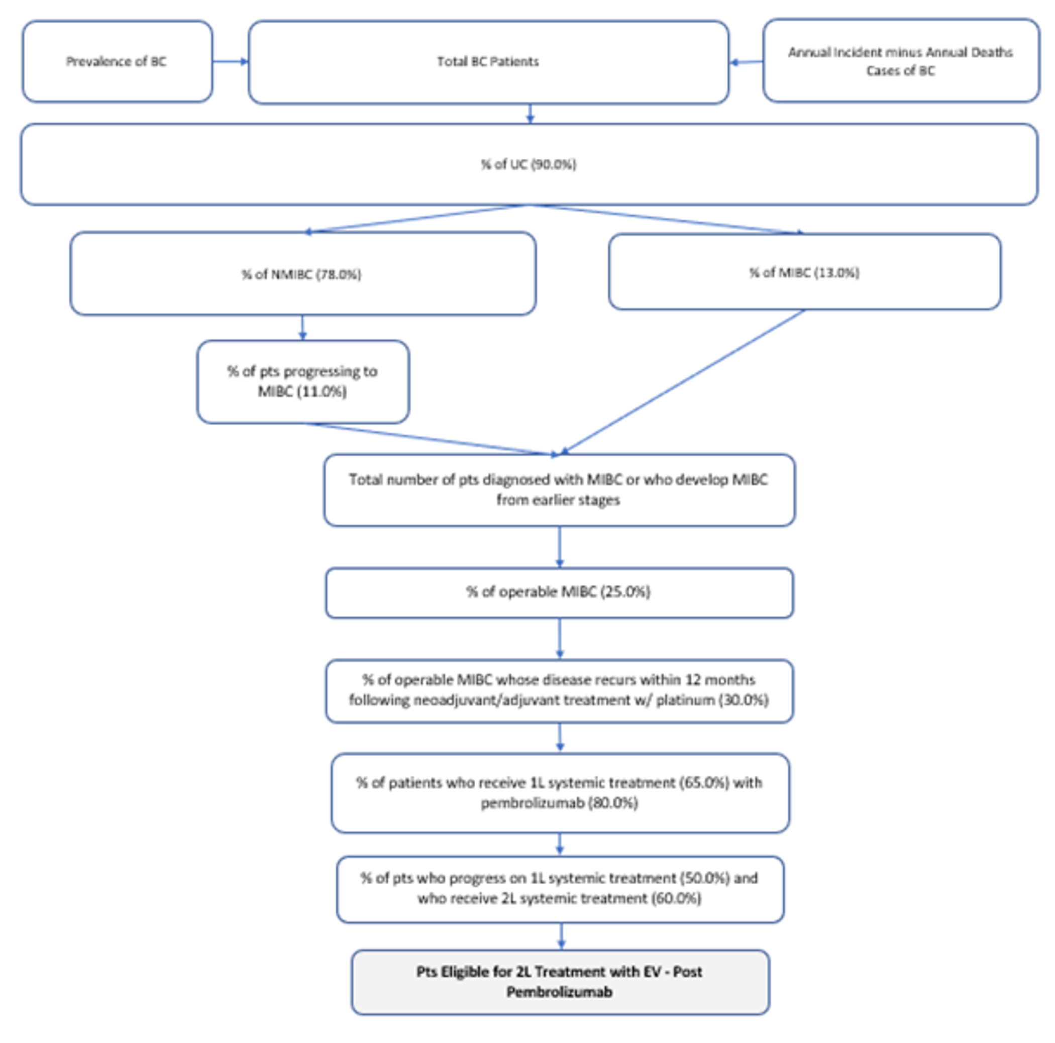 The population size was estimated using the prevalence and incidence of bladder cancer, followed by a series of stepwise attritions to specify the population size. The steps begin with the percentage of patients with urothelial cancer (90%), and progress to the number of patients diagnosed with muscle invasive bladder cancer or who develop muscle invasive bladder cancer from earlier stages, and to the number of patients eligible for second-line treatment with enfortumab vedotin, post pembrolizumab.
