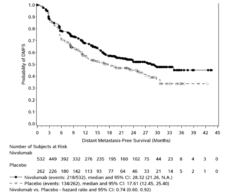 In this Kaplan–Meier analysis of Distant Metastasis free survival, for patients on nivolumab, the number of at-risk patients at 0, 3, 6, 9, 12, 15, 18, 21, 24, 27, 30, 33, 36, 39, 42 and 45 months was 532, 449, 392, 332, 276, 235, 195, 160, 102, 75, 44, 23, 8, 4, 3 and 0 respectively. For patients on placebo, the number of at-risk patients at 0, 3, 6, 9, 12, 15, 18, 21, 24, 27, 30, 33, 36, 39, 42 and 45 months was 262, 226, 180, 142, 113, 93, 77, 64, 46, 33, 21, 14, 5, 2, 1 and 0 respectively.