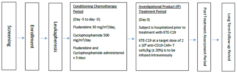 Study design of the ZUMA-2 trial, demonstrating patient movement from screening, enrollment, leukapheresis, to treatment with brexucabtagene autoleucel.
