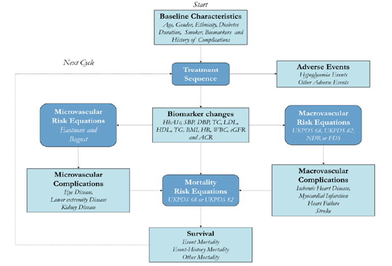 The model structure incorporates various health states to capture important micro- and macrovascular complications, incidence of hypoglycemic events, and premature mortality that may result from T2DM, with different treatment sequences leading to biomarker changes and event profiles, which are associated with different risks for experiencing the various complications or events.