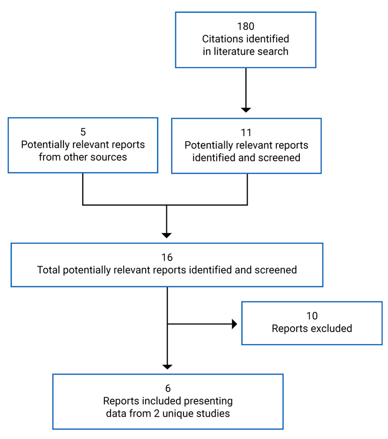 A total of 180 citations were identified, 169 of which were excluded. Another 5 potentially relevant electronic literature full-text reports were retrieved for scrutiny. In total, 6 reports were included in the review.