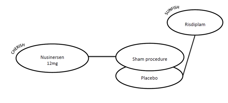 The network is composed of 3 nodes, 1 for each of risdiplam (1 study), nusinersen (1 study), and sham procedure or placebo. The connection between nusinersen and risdiplam is through the sham procedure or placebo node.