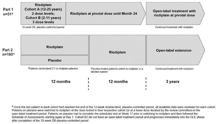 SUNFISH Part 1 was a double-blind, placebo-controlled, randomized (2:1 risdiplam to placebo), exploratory, dose-finding study in patients with type 2 and type 3 SMA. This was followed by an open-label phase where all patients were given the risdiplam dose selected for Part 2 to complete 24 months of treatment. Patient's treatment in the open-label phase may continue for an additional 3 years (patients will be treated for a total duration of at least 5 years).