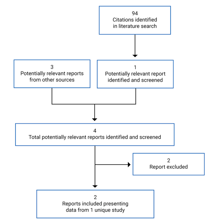 A flow diagram of reports retrieved, screened, and included. 94 were identified from the literature and 3 from other sources. We included 2 reports that represent 1 unique study.