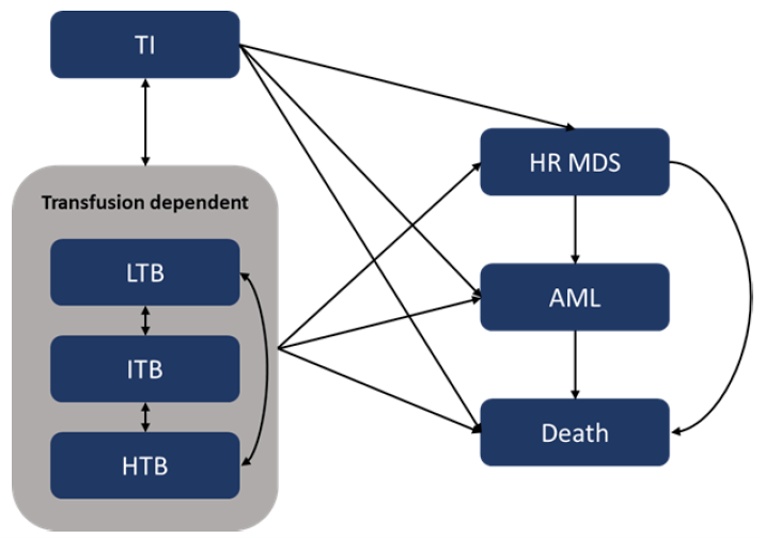 Figure 1 depicts the sponsor’s Markov model structure. Patients begin in one of the transfusion-dependent health states, LTB, ITB, or HTB. After treatment with luspatercept, responders are moved to the TI state, while non-responders remain in their original state. Patients in the TI state gradually transition back to a transfusion-dependent state. From all states patients have a risk of transitioning to HR MDS, AML, or death.