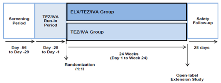 Study 109 consisted of a 28-day screening period, a 28-day open-label run-in period where all patients received TEZ-IVA, a 24-week double-blind treatment period, and a 28-day follow-up period. Patients who completed the 24-week treatment period could enrol the open-label extension study or enter the 28-day safety follow-up period.