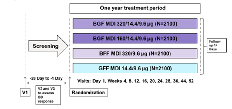 Patients who completed the 28-day screening period were randomized in a 1:1:1:1 to BGF MDI 320 mcg-14.4 mcg-9.6 mcg, BGF MDI 160 mcg-14.4 mcg-9.6 mcg, BFF MDI 320 mcg-9.6 mcg, or GFF MDI 14.4 mcg-9.6 mcg, all administered twice daily. The study duration was 52 weeks plus a 14 day post-treatment follow-up period.