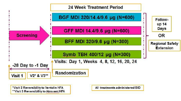 Patients who completed the 28-day screening period were randomized in a 1:1:1:1 to BGF MDI 320 mcg-14.4 mcg-9.6 mcg, BFF MDI 320 mcg-9.6 mcg, GFF MDI 14.4 mcg-9.6 mcg, or BUD-FOR DPI through Symbicort TBH 400 mcg-12 mcg, all administered twice daily. The study duration was 24 weeks plus a 14 day post-treatment follow-up period or enrollment into the extension study for those who were eligible.