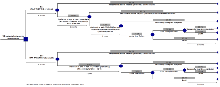 This decision tree outlines patient movement through the sponsor’s economic model.