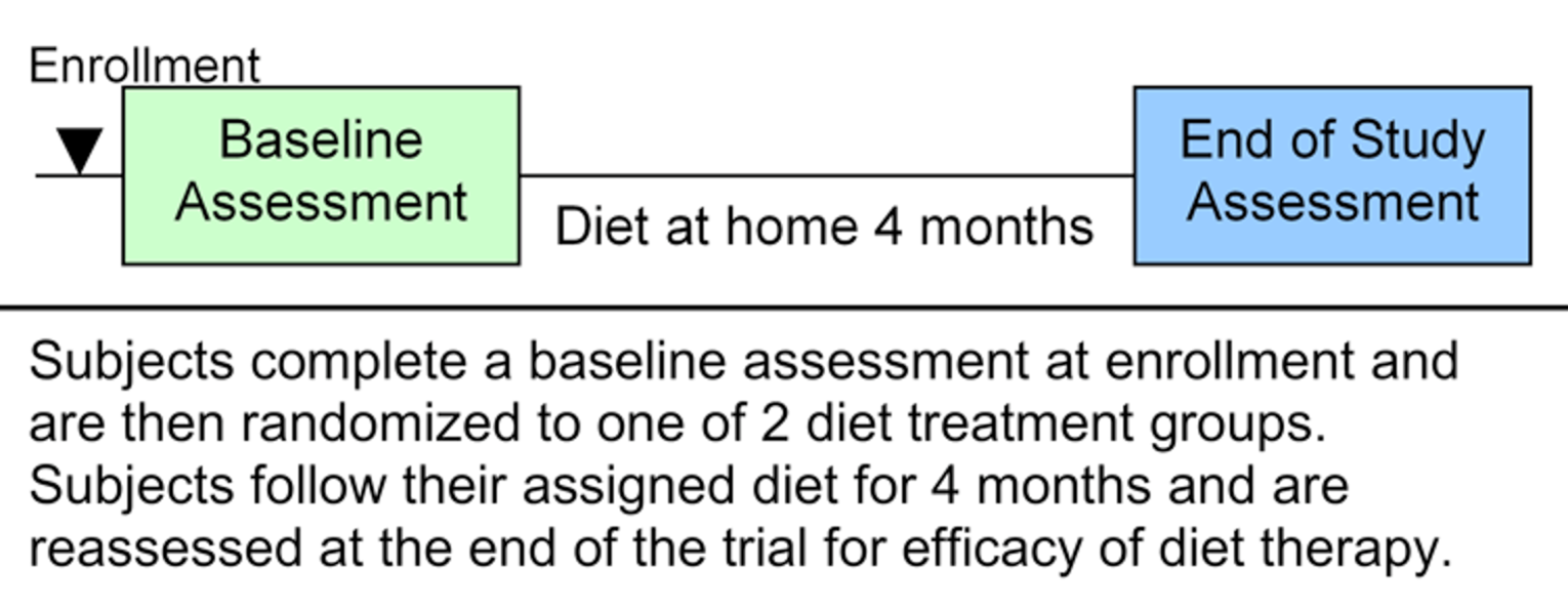 The study design included baseline assessment, followed by randomized diet treatment at home for 4 months, and then end-of-study assessment.