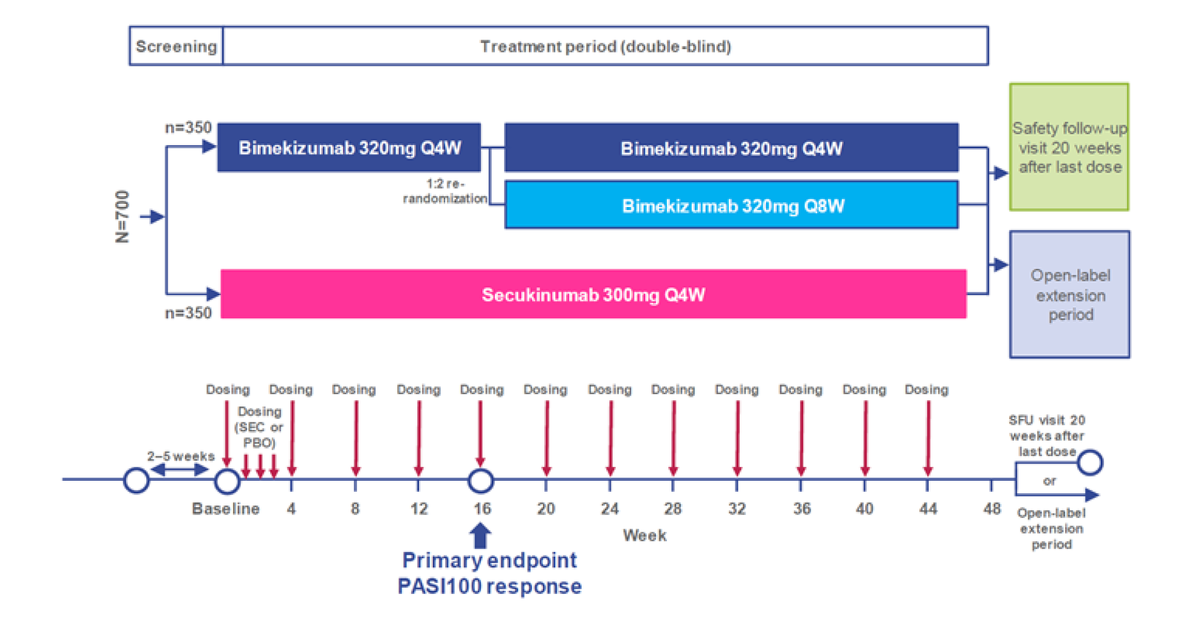 Describes the flow of patients and treatments received from randomization through to the initial and maintenance treatment periods, and subsequent entry into the open-label extension period or safety follow-up period.