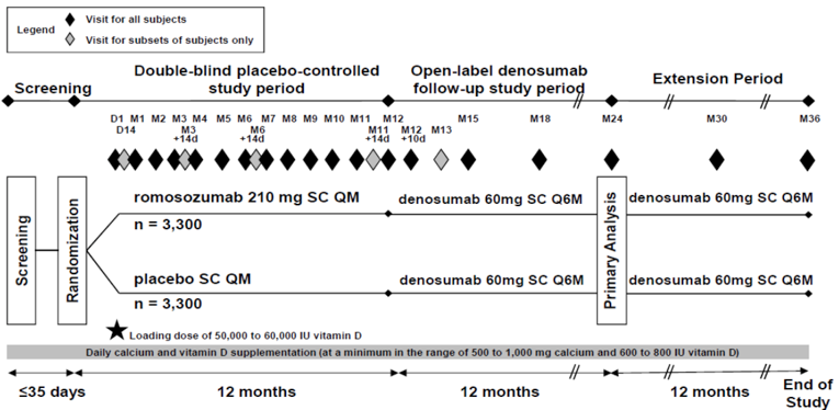The figure below outlines the various study periods of the FRAME study: double-blind placebo-controlled period, open-label denosumab follow-up period, and an extension period.